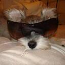 Donna Tran - @Donna_Rocks - Twitter