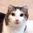 katnyp2011's profile image