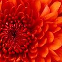 Marla McGarr - @marlamcgarr - Twitter