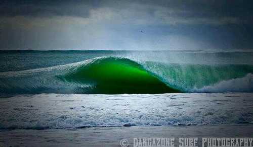Surf lover