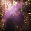 Jena Evans-Turnbull - @j_rose_ - Twitter