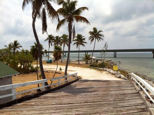 inshoretwit's profile picture. Fishing and Boating in SE Florida.