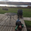 Courtney Roach - @Court_Dannielle - Twitter