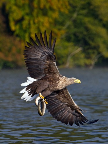 Timbeta25583660's profile picture. AAMO