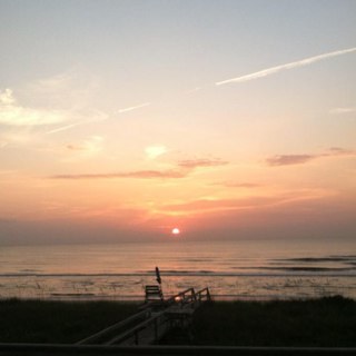 blackwidow_3's profile picture. 