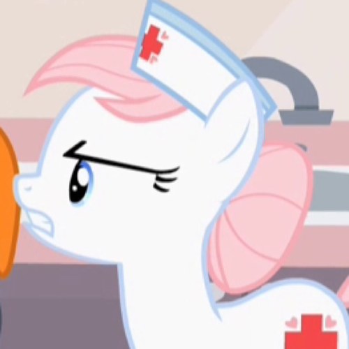 The Nurse of Ponyville.