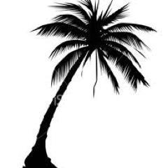 SOFLO and there's no place like it!