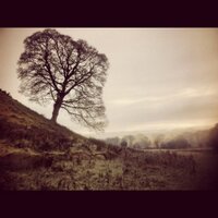 The Boyne Valley (@theboynevalley) 's Twitter Profile