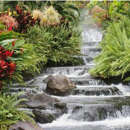 whatssap_alibs0's profile picture. 