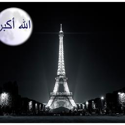 el_walli's profile picture. 