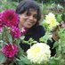 Vrishali Hrishikesh Ingle (@flowersnfruits) Twitter profile photo