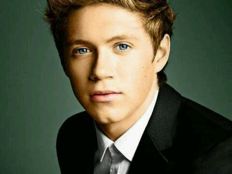 Onedirection are my life. End of. Niall horan, you sex godddd.;33 irish boys are my weakness, if they talk to me I go all shy:')3