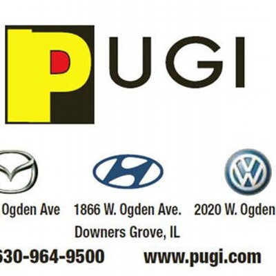 Pugi Of Chicagoland Pugichicagoland Twitter