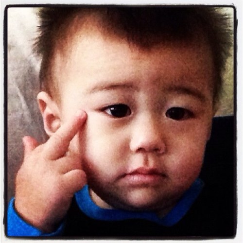 lisaoshidari's profile picture. 