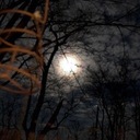 Mary Willcox - @4photossake - Twitter