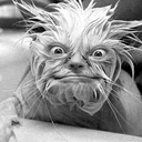 don christie - @badness1951 - Twitter