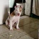 javier avitia - @AvitiaJavier - Twitter