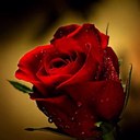 مصادر تعلم (@22t00t00) Twitter