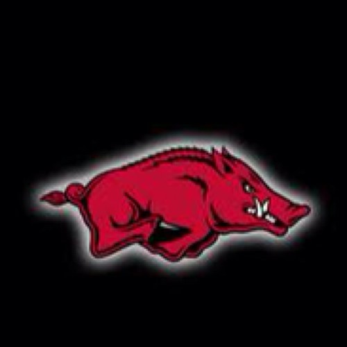 Arkansas native and HOG fan for life #WPS