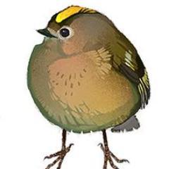 clatormo's profile picture. 'The woman you are trying to be will cost you people, relationships, spaces, and material things. Choose her over everything.'