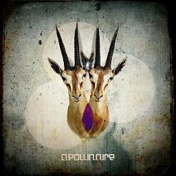 Apollinaireband's profile picture. Banda de Barquisimeto, rock de antilopes hecho por imitaciones fraudulentas de cronopios.