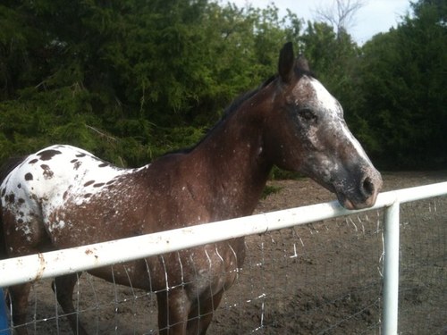 dani71098's profile picture. I am a southern girl. I like all types of music but country the most. I love God, my family and spending time with friends and family.