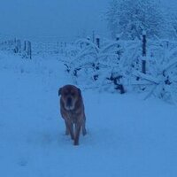 Un Juan (@entejuan) 's Twitter Profile
