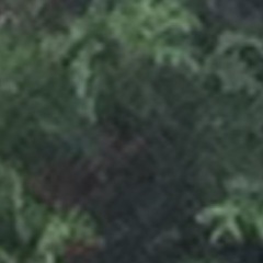 HeimstA's profile picture. mamy sportive,aime voyager,jardiner,et ma famille