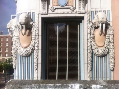 EganMelanie's profile picture. Born with a double halo.