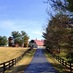 Wheatland Farm (@wheatlandfarm1) Twitter profile photo