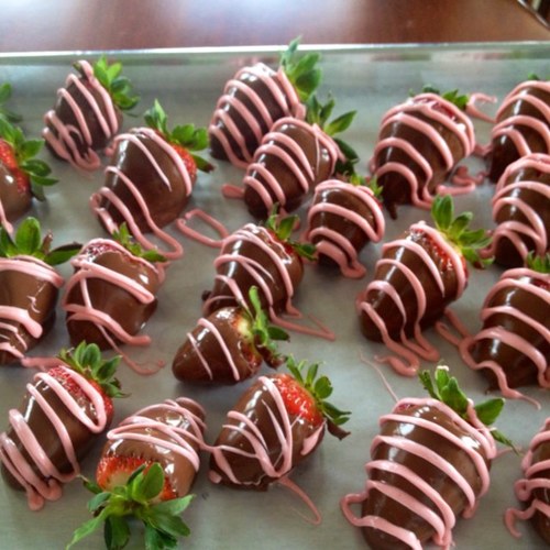 RosariaE's profile picture. “That’s the best revenge of all: happiness. Nothing drives people crazier than seeing someone have a good life.”