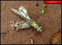 _9046400445453's profile picture. 