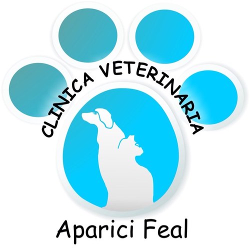 Mas de 18 años dando el mejor servicio a vuestras mascotas, con los mejores equipos veterinarios y las últimas técnicas de diagnóstico médico veterinario.