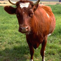 ESagstuen's profile picture. 