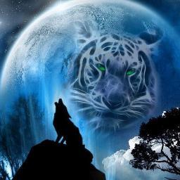 Wolf5Tiger's profile picture. Sabri & Frenz 3