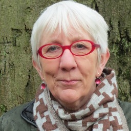 CadyAnna's profile picture. artist and maker of short films