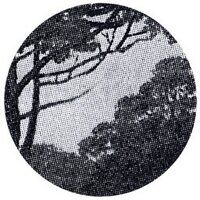 Michaela Nettell (@michaelanettell) 's Twitter Profile