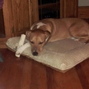 rick mcfall jr - @19rick75 - Twitter