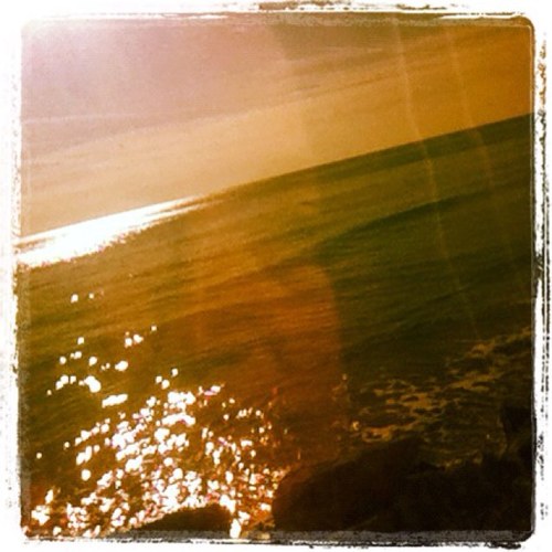 animarsi1's profile picture. 