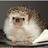 mark_beaumont1's profile image
