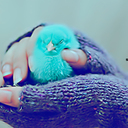 سمو (@0532146_) Twitter