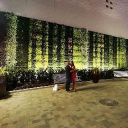 Una empresa creada en el 2011 para diseñar, construir e implementar prácticas amigables con el medio ambiente, buscando confort y satisfacción de sus clientes.