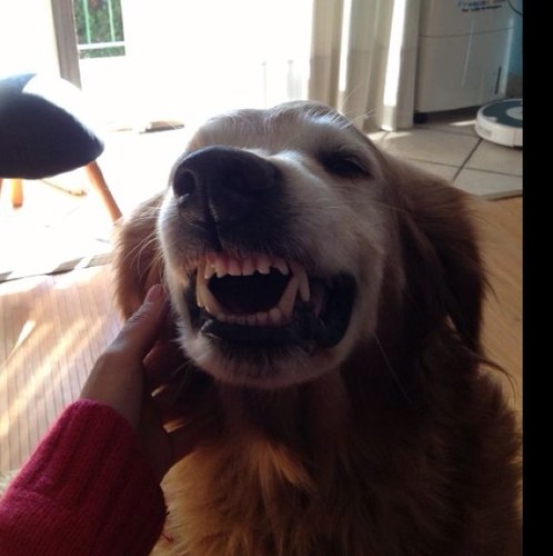 barbgold88's profile picture. Sometimes I pretend to be normal but it gets boring so I go back to be ...me