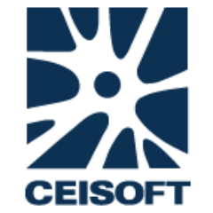 CEISOFT's profile picture. Fortalecemos la competencia empresarial, la gestión tecnológica,  la capacidad de innovar, la calidad del software y sus procesos