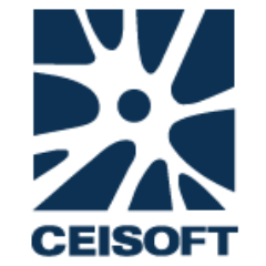 CEISOFT Profile Picture