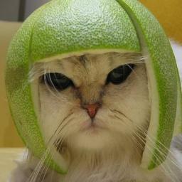 BorisIsABellend Profile Picture