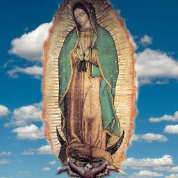 ¿No Estoy Yo aqui , Que Soy Tu Madre ? #VirgenDeGuadalupe #Morenita #VirgenDeGpe #MorenitaDelTepeyac