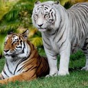 benjamin mckeown - @benjaminmckeow2 - Twitter