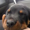 Kimberly Honaker - @kimhhonaker - Twitter