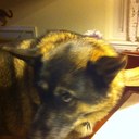 Daniel Hendrick - @danblaze98 - Twitter